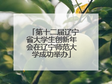 第十二届辽宁省大学生创新年会在辽宁师范大学成功举办