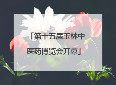 第十五届玉林中医药博览会开幕