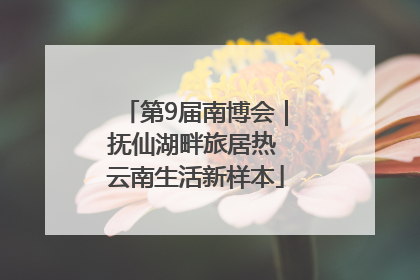 第9届南博会｜抚仙湖畔旅居热 云南生活新样本