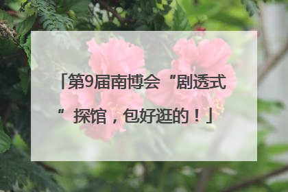 第9届南博会“剧透式”探馆，包好逛的！