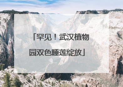 罕见！武汉植物园双色睡莲绽放