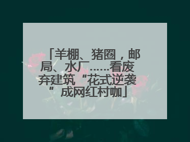 羊棚、猪圈，邮局、水厂……看废弃建筑“花式逆袭”成网红村咖