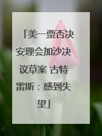美一票否决安理会加沙决议草案 古特雷斯：感到失望