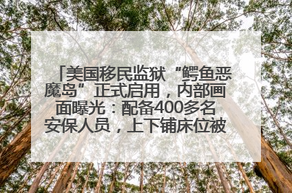 美国移民监狱“鳄鱼恶魔岛”正式启用，内部画面曝光：配备400多名安保人员，上下铺床位被罩在铁丝网里