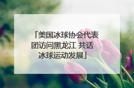 美国冰球协会代表团访问黑龙江 共话冰球运动发展
