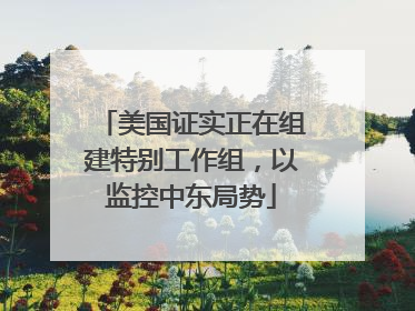 美国证实正在组建特别工作组，以监控中东局势