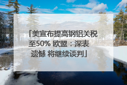 美宣布提高钢铝关税至50% 欧盟:深表遗憾 将继续谈判
