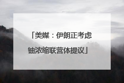 美媒：伊朗正考虑铀浓缩联营体提议