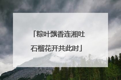 粽叶飘香连湘吐 石榴花开共此时