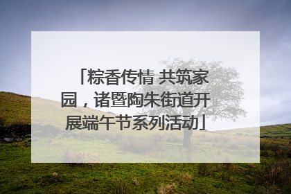 粽香传情 共筑家园，诸暨陶朱街道开展端午节系列活动