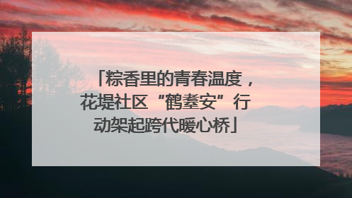粽香里的青春温度，花堤社区“鹤耋安”行动架起跨代暖心桥