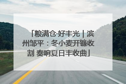粮满仓·好丰光｜滨州邹平：冬小麦开镰收割 奏响夏日丰收曲