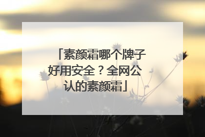 素颜霜哪个牌子好用安全？全网公认的素颜霜