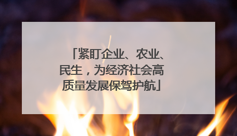 紧盯企业、农业、民生，为经济社会高质量发展保驾护航