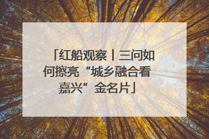 红船观察丨三问如何擦亮“城乡融合看嘉兴”金名片