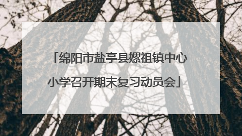 绵阳市盐亭县嫘祖镇中心小学召开期末复习动员会