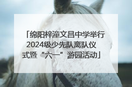 绵阳梓潼文昌中学举行2024级少先队离队仪式暨“六一”游园活动
