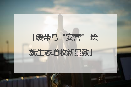 绶带鸟“安营” 绘就生态增收新景致