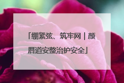 绷紧弦、筑牢网｜颜厝道安整治护安全