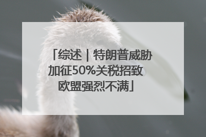 综述｜特朗普威胁加征50%关税招致欧盟强烈不满