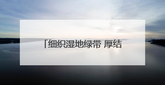 细织湿地绿带 厚结“文旅明珠”——中法武汉生态示范城挖掘绿色发展新动能
