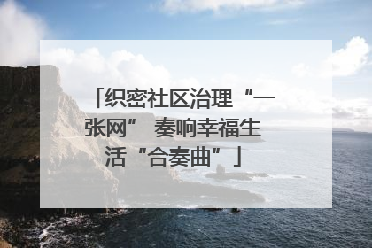 织密社区治理“一张网” 奏响幸福生活“合奏曲”