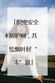 织密安全防护网，共绘烟叶好“丰”景