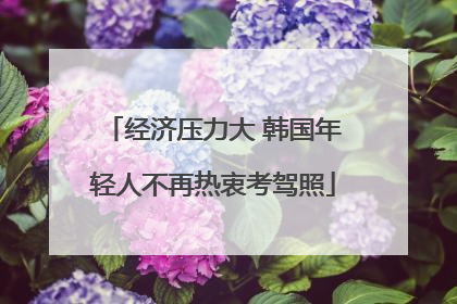 经济压力大 韩国年轻人不再热衷考驾照