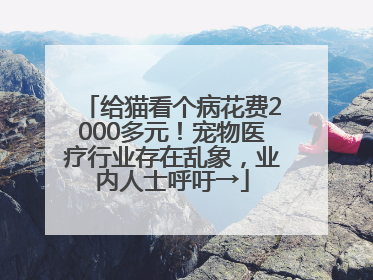 给猫看个病花费2000多元！宠物医疗行业存在乱象，业内人士呼吁→