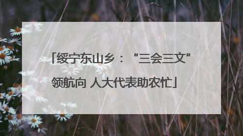 绥宁东山乡：“三会三文”领航向 人大代表助农忙