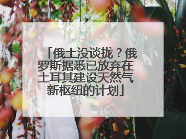 俄土没谈拢？俄罗斯据悉已放弃在土耳其建设天然气新枢纽的计划