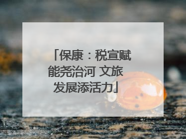 保康：税宣赋能尧治河 文旅发展添活力
