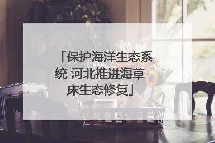 保护海洋生态系统 河北推进海草床生态修复