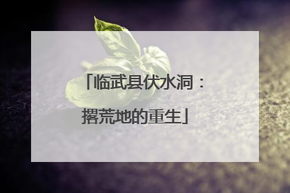 临武县伏水洞：撂荒地的重生
