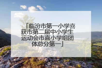 临汾市第一小学喜获市第二届中小学生运动会市直小学组团体总分第一