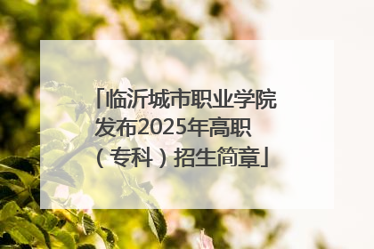 临沂城市职业学院发布2025年高职（专科）招生简章