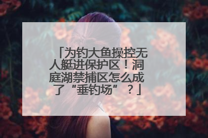 为钓大鱼操控无人艇进保护区！洞庭湖禁捕区怎么成了“垂钓场”？