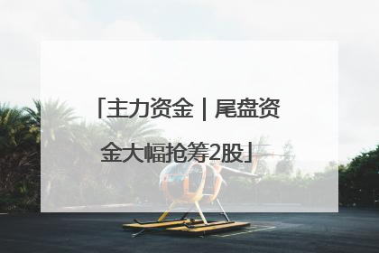 主力资金｜尾盘资金大幅抢筹2股