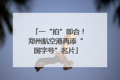 一“拍”即合！郑州航空港再添“国字号”名片