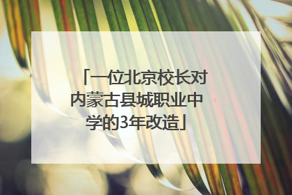 一位北京校长对内蒙古县城职业中学的3年改造