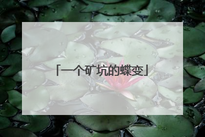 一个矿坑的蝶变