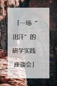 一场“出汗”的研学实践座谈会