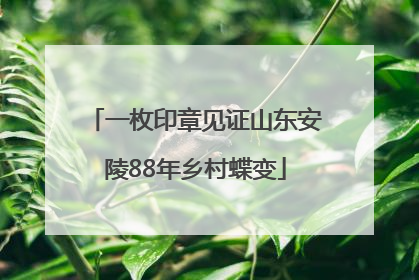 一枚印章见证山东安陵88年乡村蝶变
