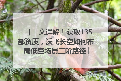 一文详解！获取135部资质，沃飞长空如何布局低空场景三阶路径