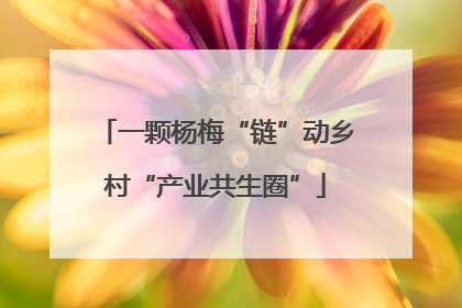 一颗杨梅“链”动乡村“产业共生圈”