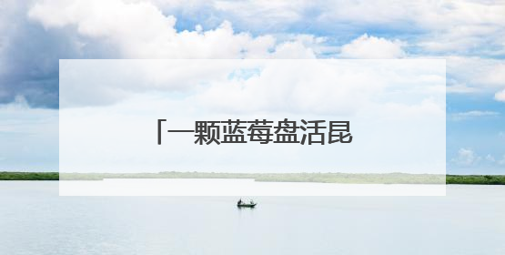 一颗蓝莓盘活昆明东川尾矿困局
