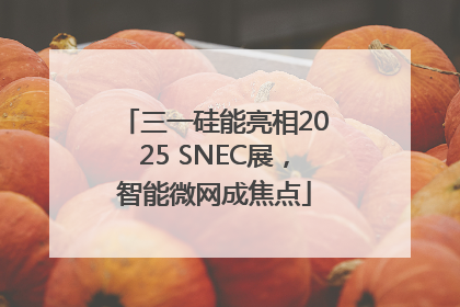 三一硅能亮相2025 SNEC展，智能微网成焦点