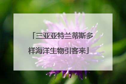 三亚亚特兰蒂斯多样海洋生物引客来