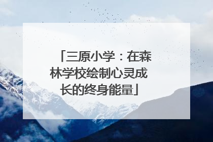 三原小学：在森林学校绘制心灵成长的终身能量