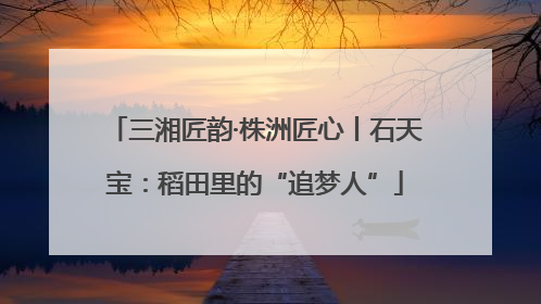 三湘匠韵·株洲匠心丨石天宝：稻田里的“追梦人”